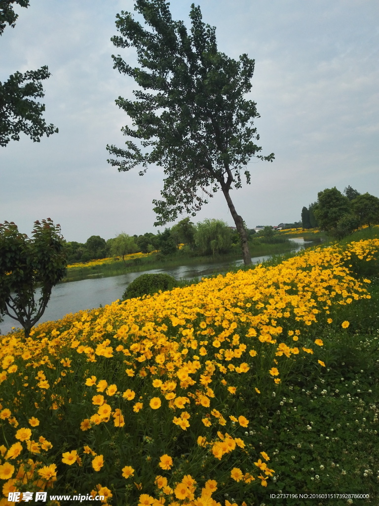 無錫濕地公園