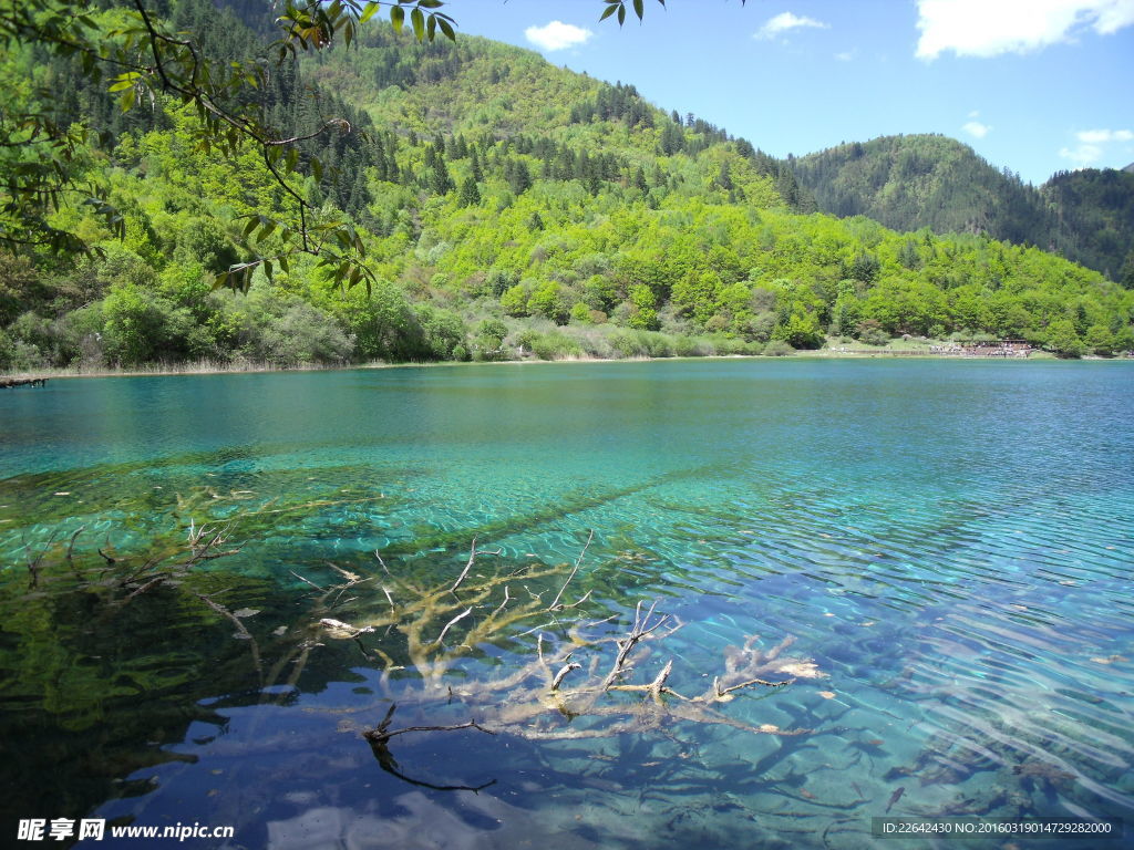 山清水秀