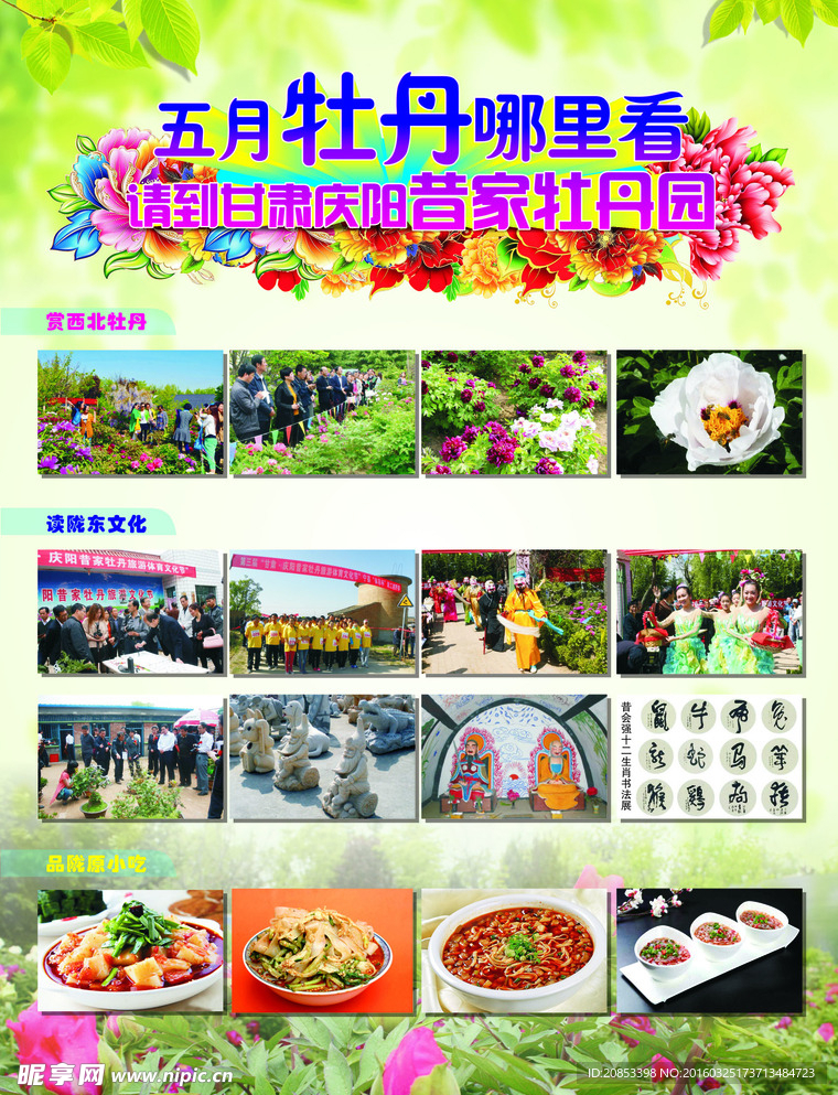 牡丹花宣傳