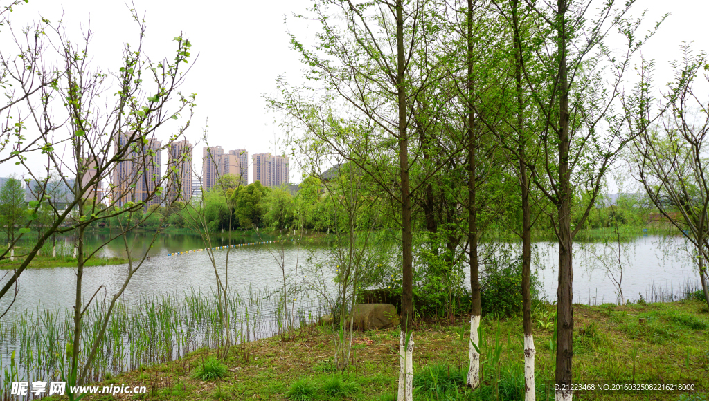 洋湖濕地公園