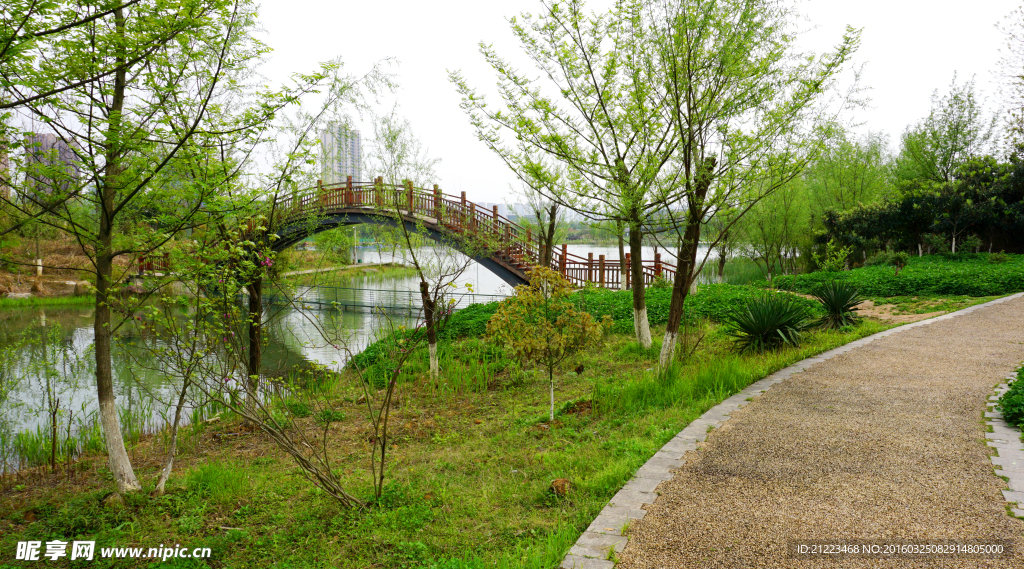 洋湖濕地公園