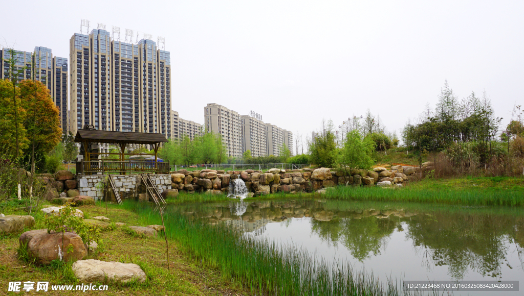 洋湖濕地公園