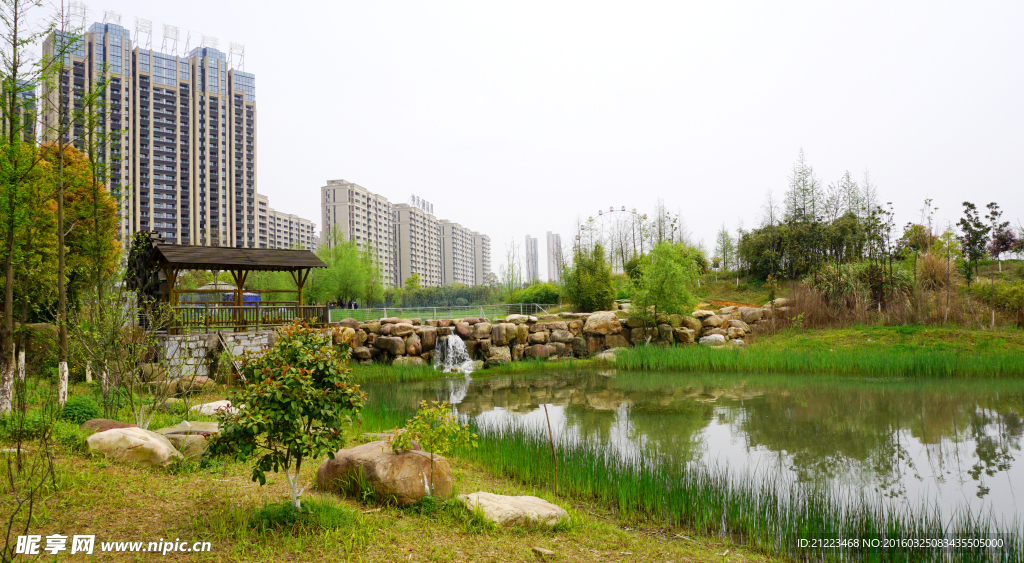 洋湖濕地公園