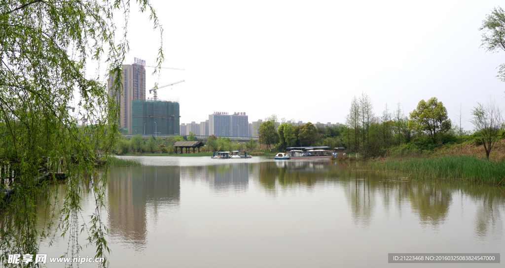 洋湖濕地公園