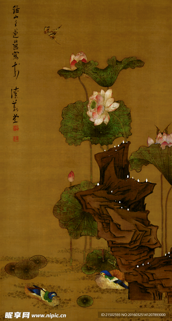 荷花鴛鴦圖