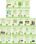 绿色健康画册