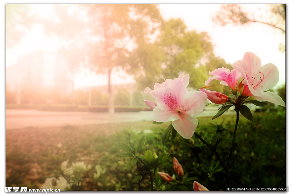 春暖花開(kāi)