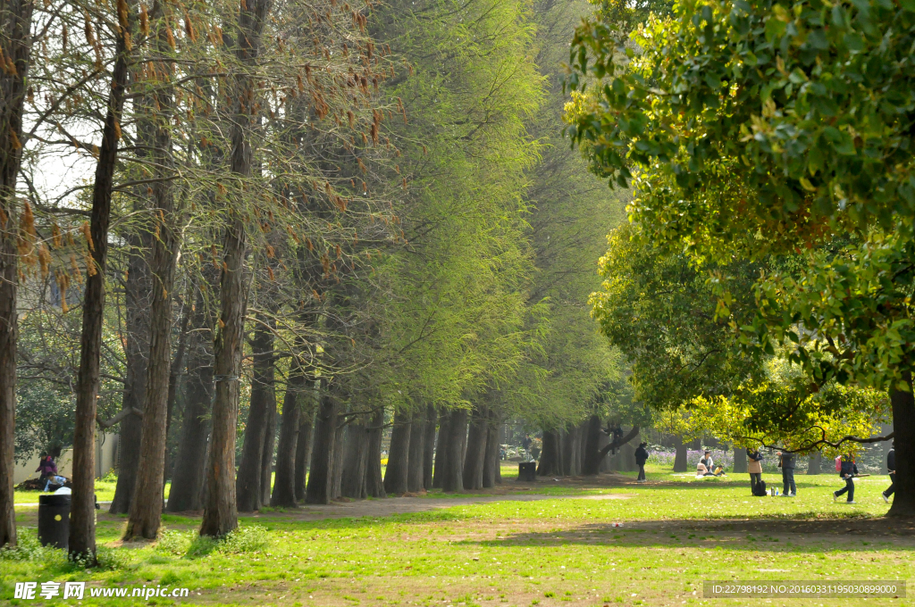 森林公園