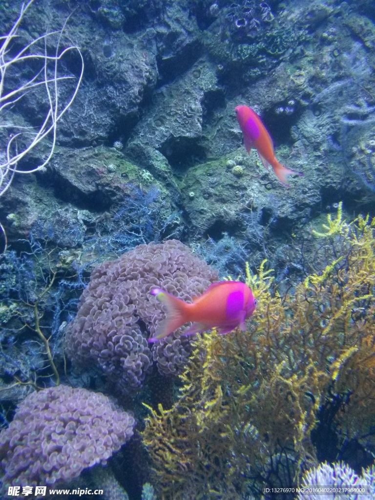 水族館