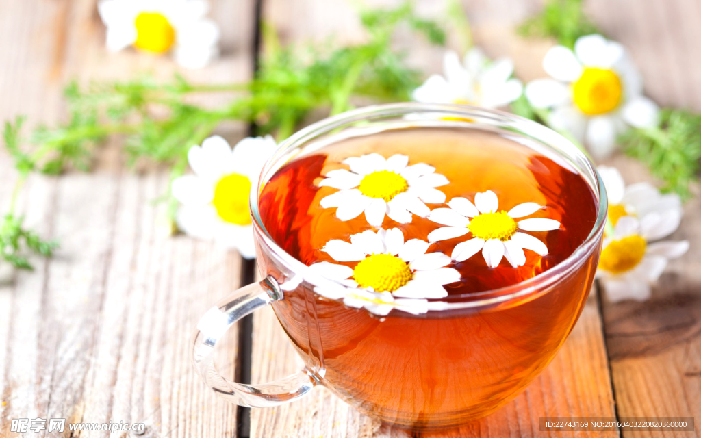 菊花茶