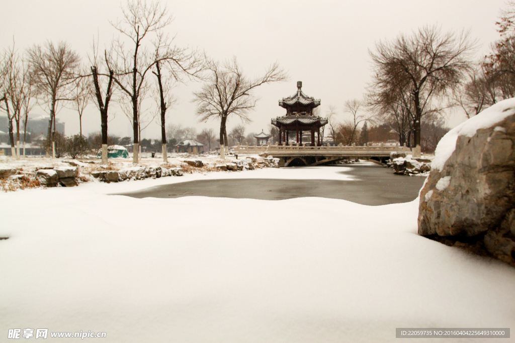 雪景