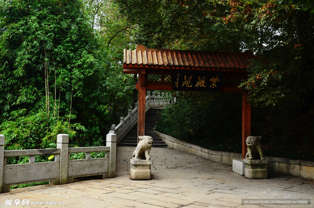 綠蔭  黃鶴樓