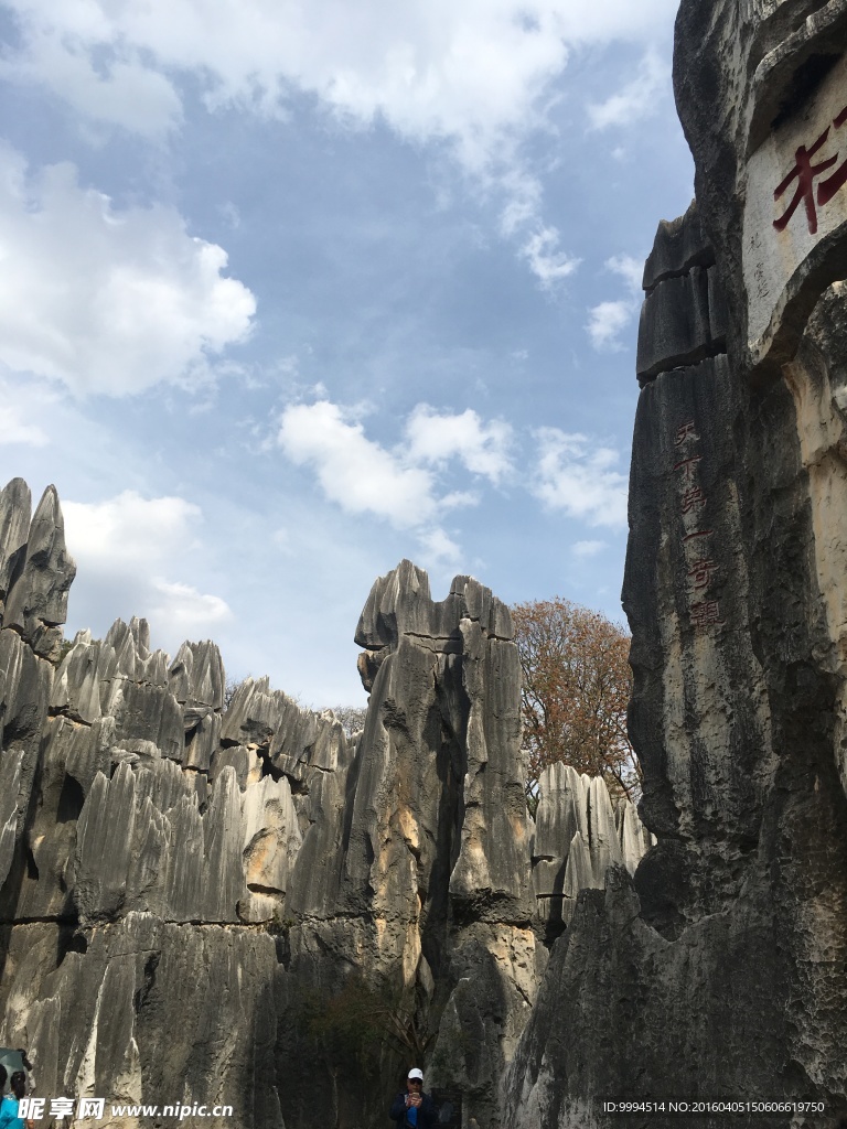 石林