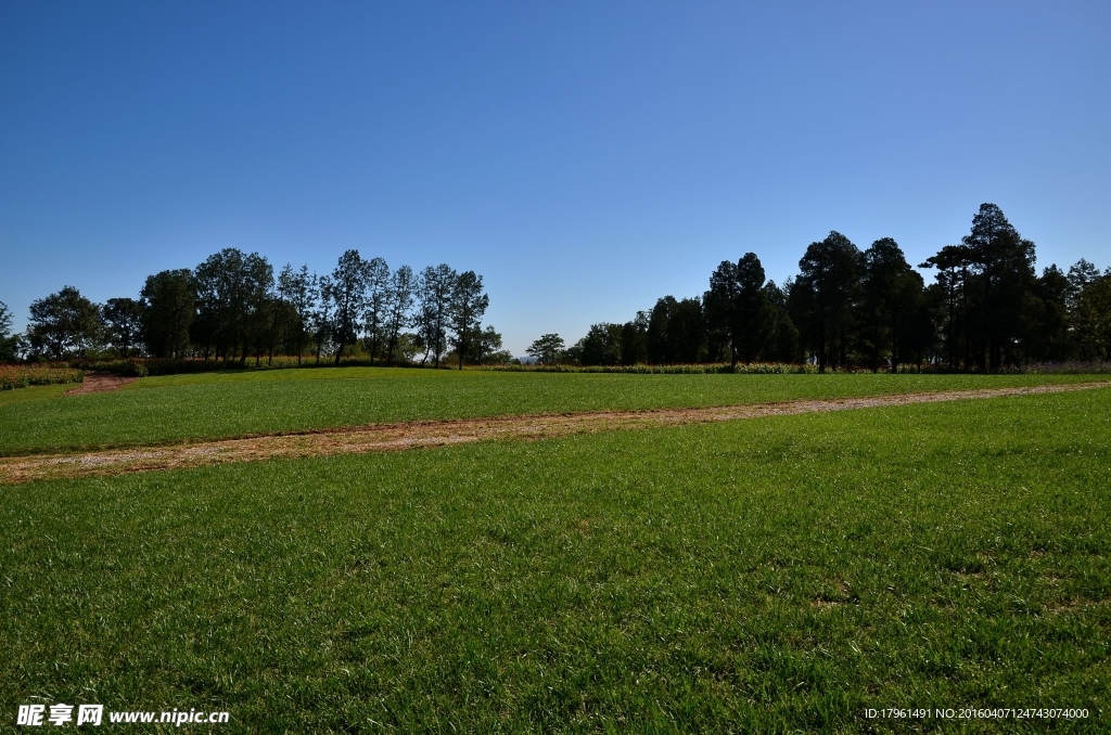 西山公園