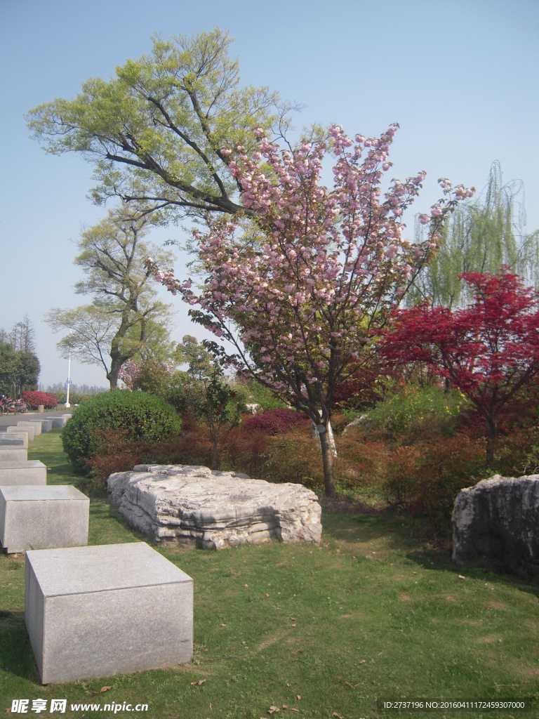 無(wú)錫公園風(fēng)景