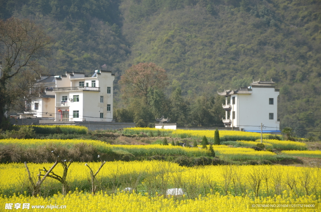 石潭村风光