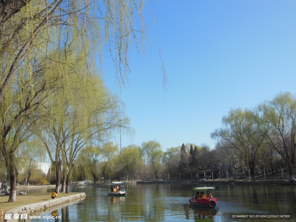 春天風(fēng)景