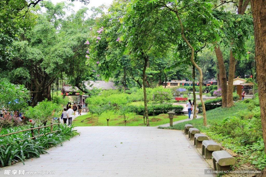 公園小道
