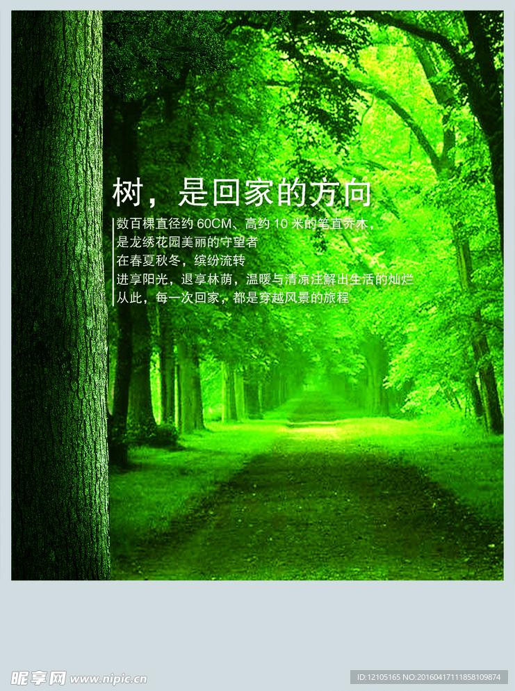 林業(yè)局 樹林 手提袋 展開圖