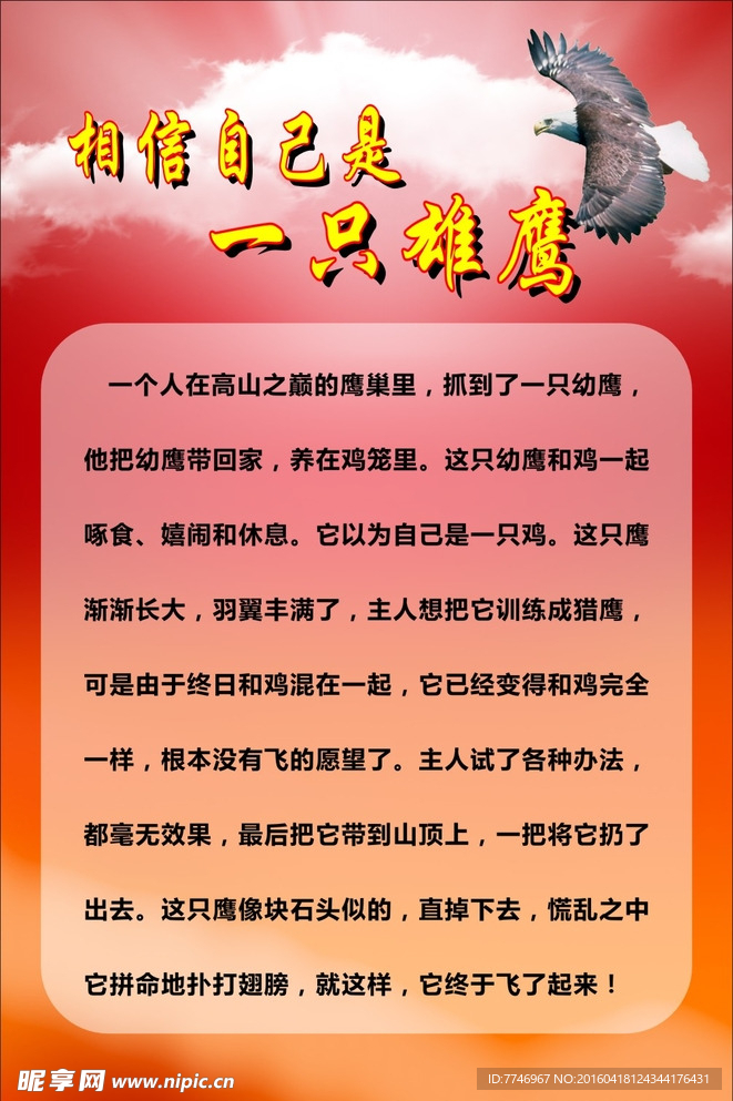 相信自己是一只雄鷹
