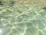 清澈透明的海水