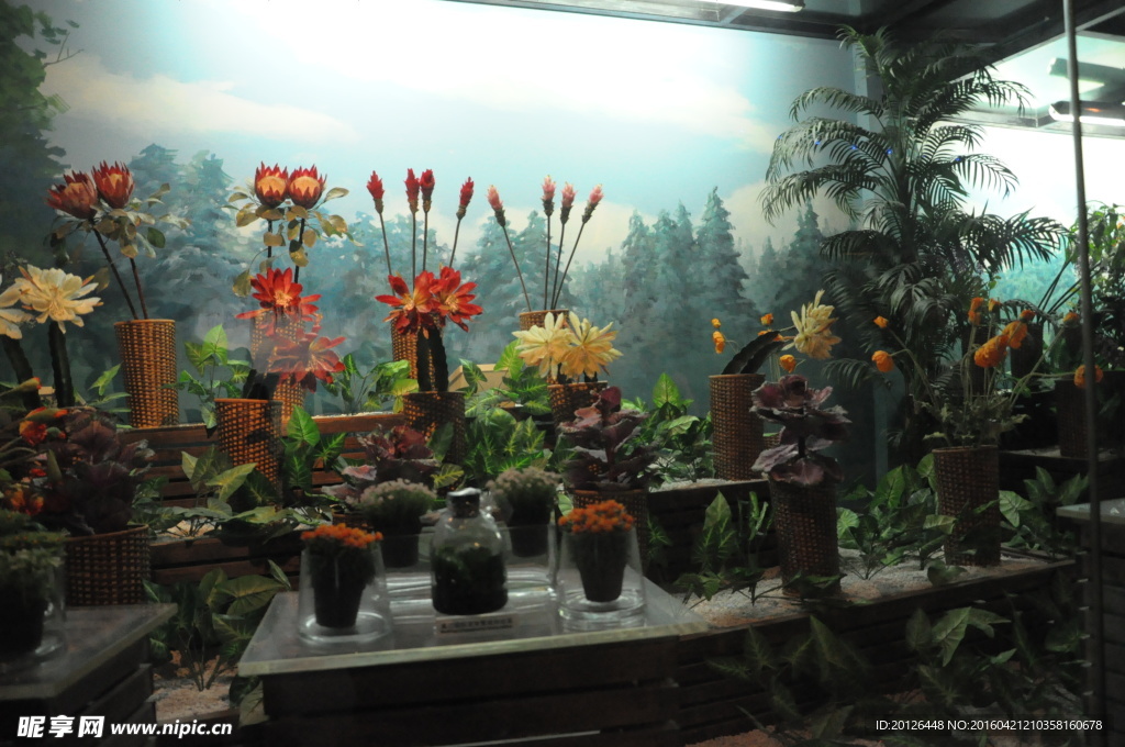 上海博物館展廳