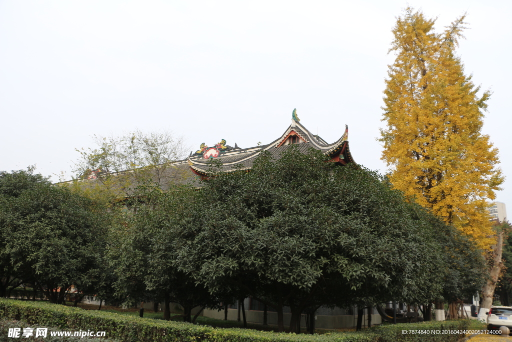 重庆景观