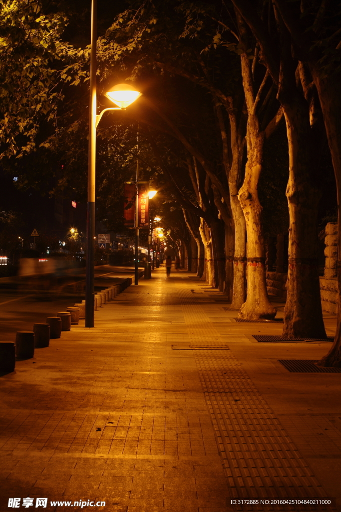 夜晚街道回家
