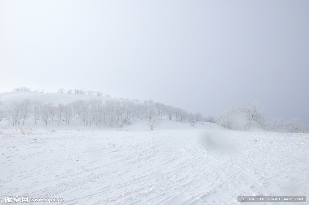 雪景 雪地