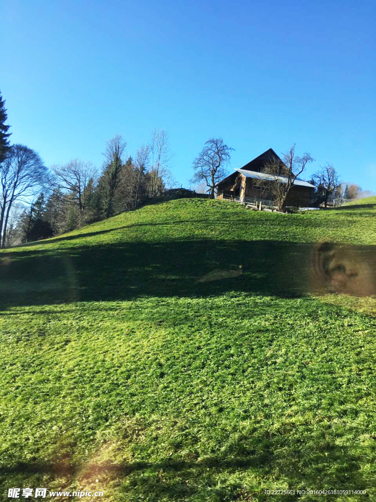 瑞士 盧塞恩 草地 風(fēng)景