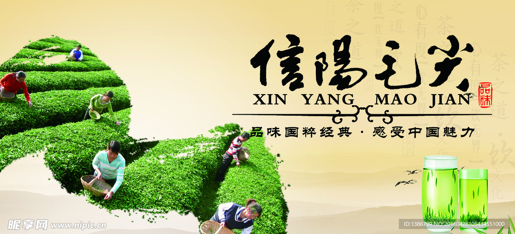 信陽毛尖