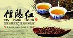 信陽紅茶