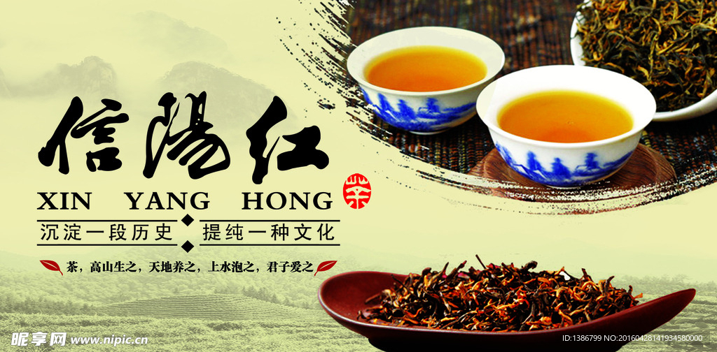 信陽紅茶