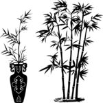 竹子 竹子盆栽