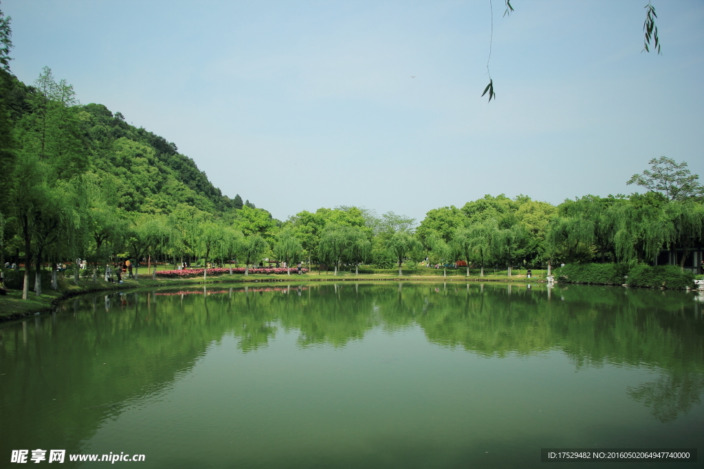 公園水邊倒影