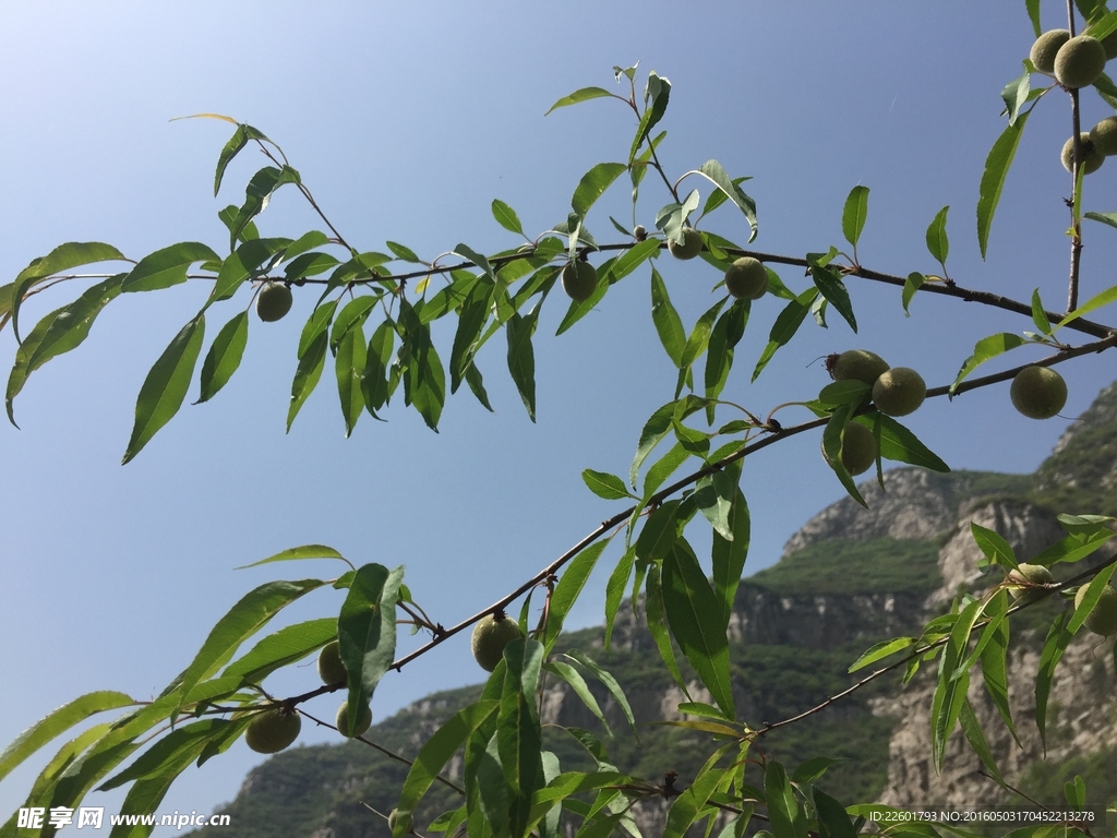 架山