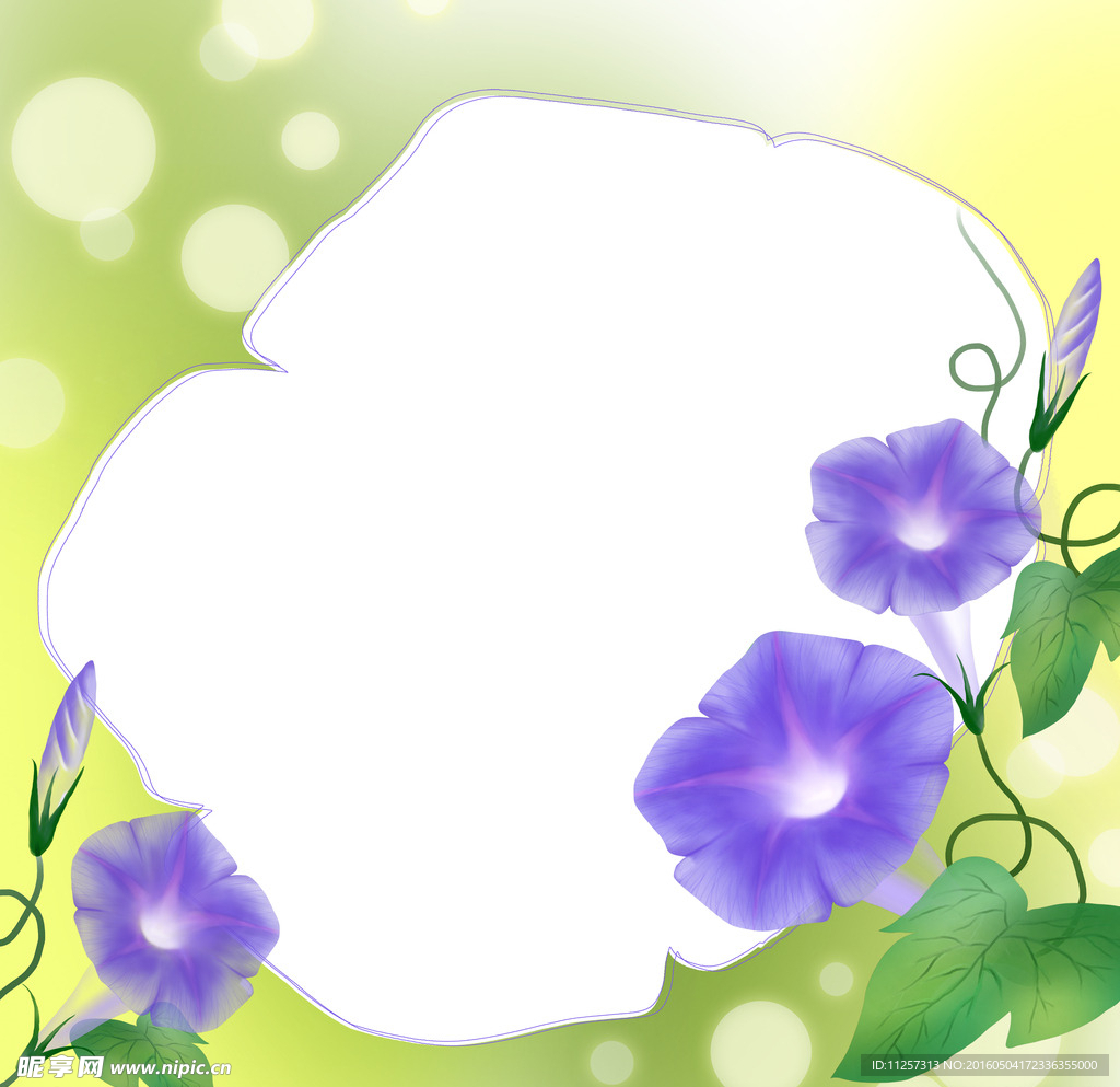 牽牛花