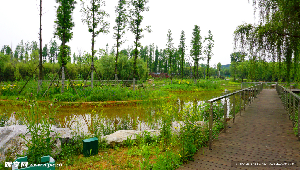 巴溪洲樂園棧道