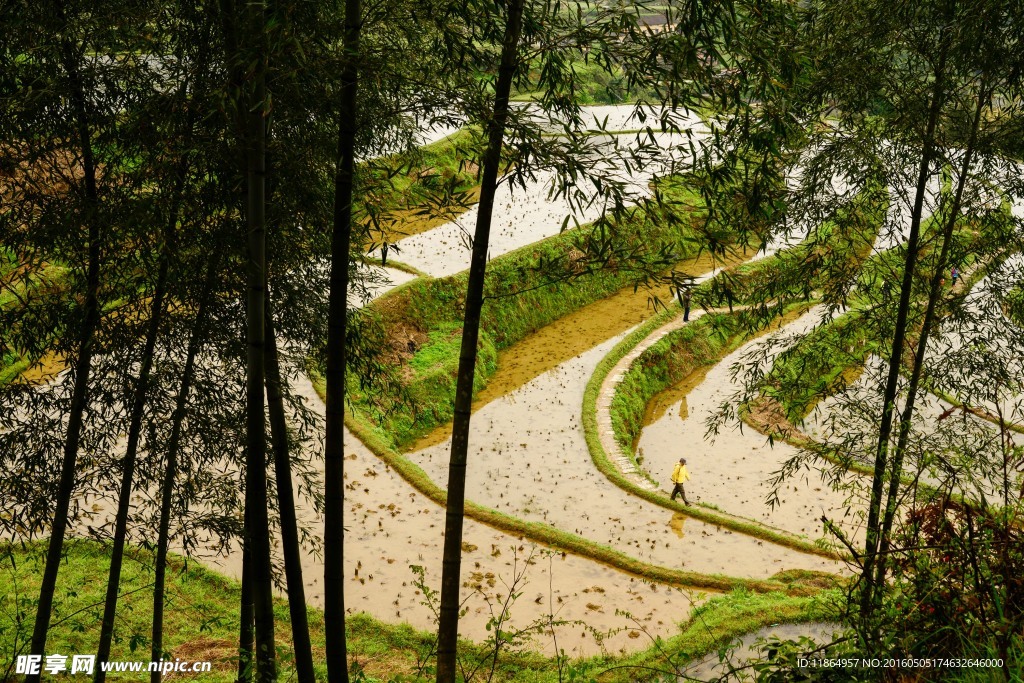 麗水美景