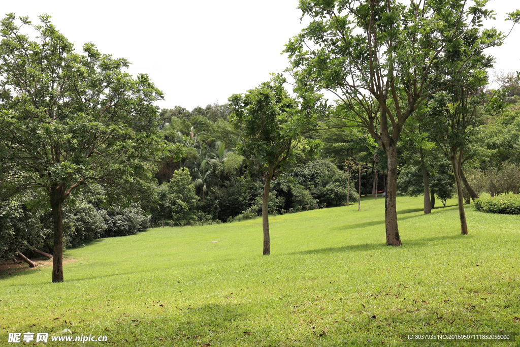 深圳筆架山公園