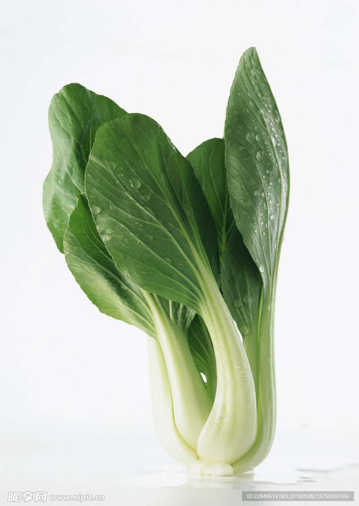 蔬菜