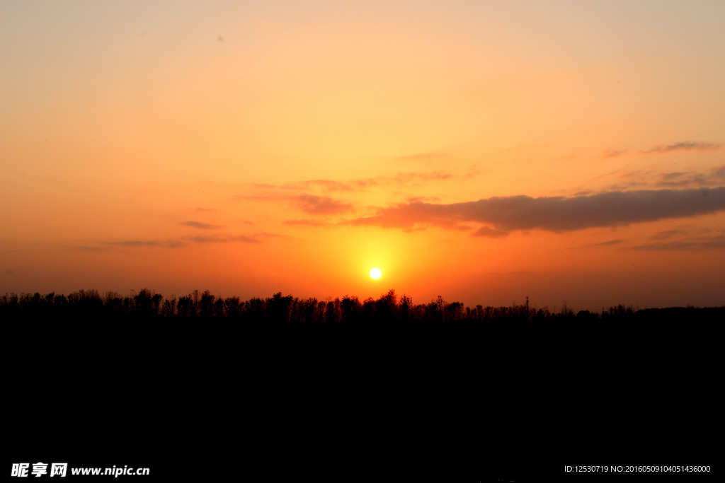 夕陽