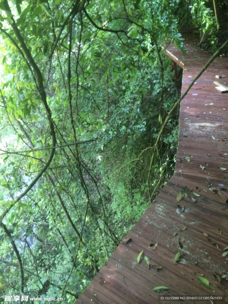 山谷步道