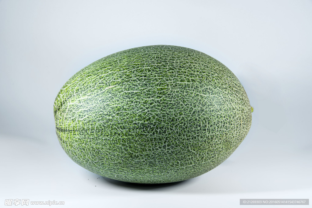 蜜瓜  西洲蜜瓜