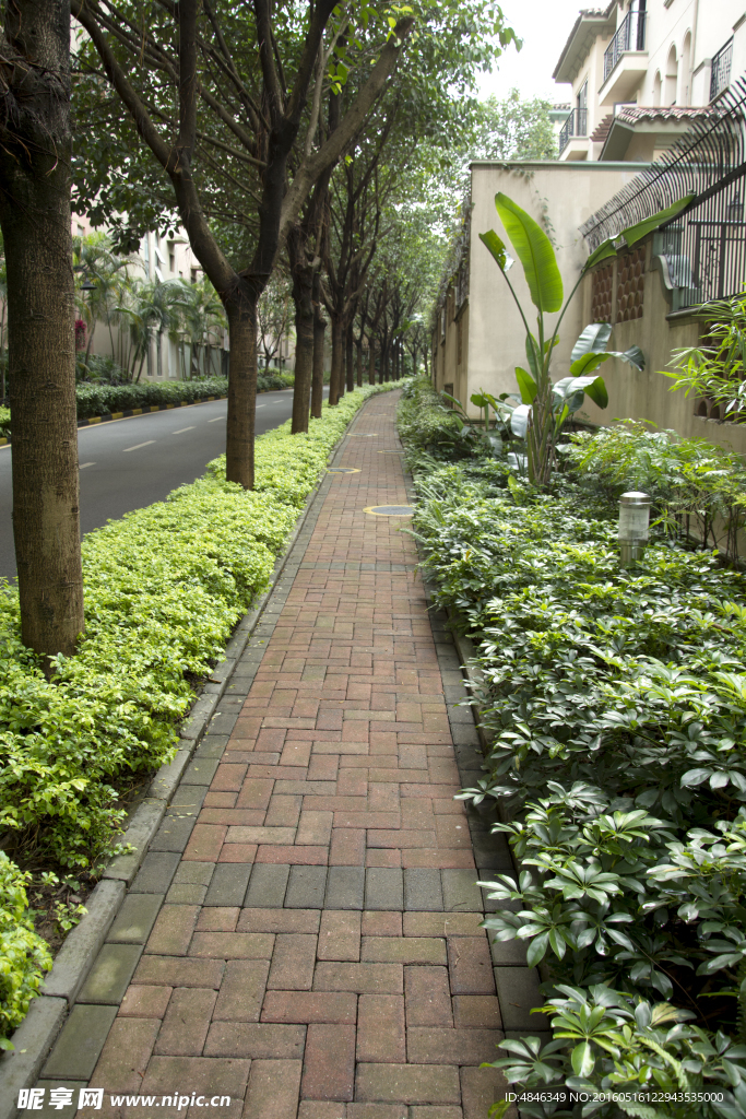 花草小路
