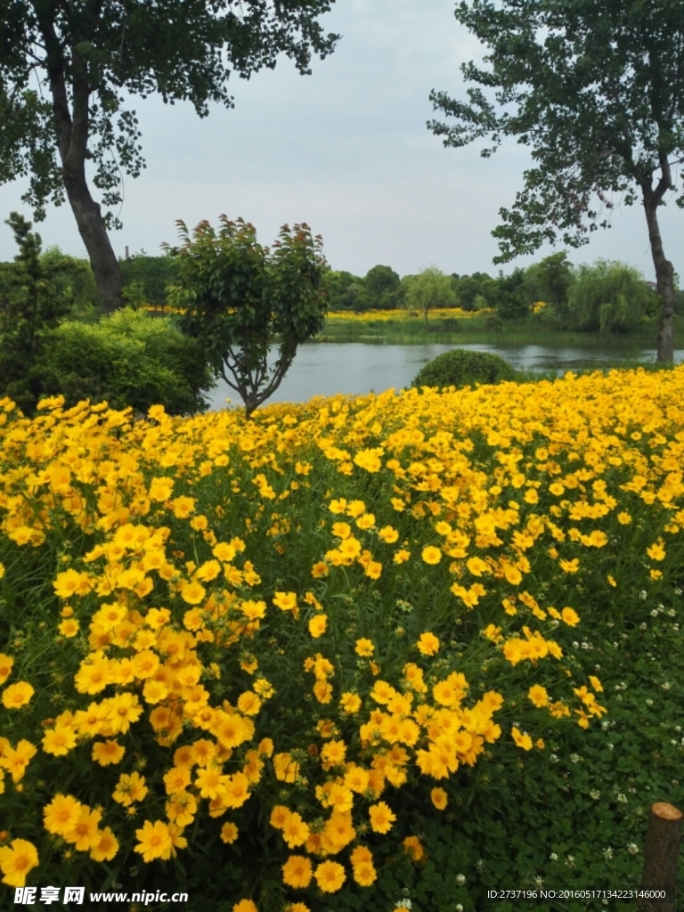 無錫濕地公園