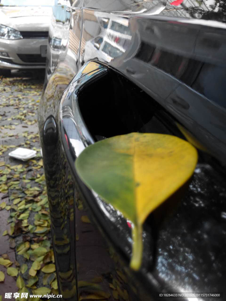 車把手上的落葉
