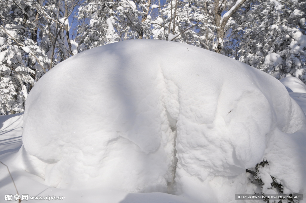 雪景 雪地