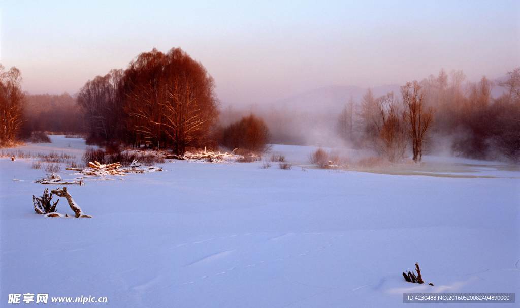 冬天雪景