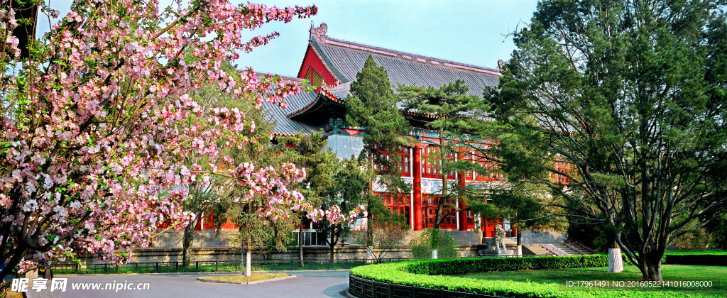 北京大學